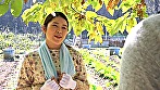一期一会 - Image 2