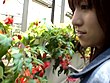 癒らし。 VOL.19 菅野亜梨沙 サンプル画像4