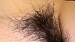 素人美女厳選 あなたのヘアヌード見せてください サンプル画像6