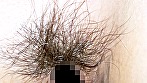 金髪でかパイ女 - Image 2