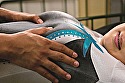 新体操部員のハミパンレオタードに発情した俺 3 サンプル画像5