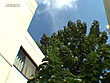 お姉さんに一日中抜かれ続けてみませんか 強制連続抜き地獄Ⅲ