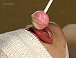 濃縮母子汁 サンプル画像8