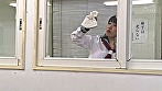 挑発！ デカ尻ワ○メちゃんstyle サンプル画像18