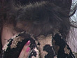 目かくしFUCK おくちいっぱい 森川由美 豊田まり サンプル画像14