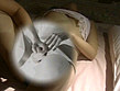 性感Xテクニック 10倍感じる逆転FUCK サンプル画像8