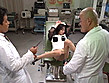 女体解剖 濡れ濡れ糸ひき80cm 宏岡みらい サンプル画像10