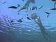キュート・レズビアン サンプル画像21
