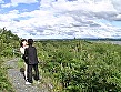 好色妻 エロ女 厳選15人4時間 マン汁垂らして乱れる人妻たち