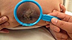 尾崎翠【スケッチのモデルもこなす淫乱家庭教師】 - Image 4