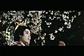 華魁 画像1