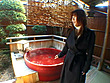 美熟女温泉湯けむり旅情 弥生 桜の月 魚住里奈30歳 - Image 2