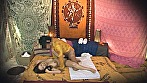 卑猥映像 絶対ヌケル！！ 美女に隠された秘境を赤面ポーズで大開墾 タイ古式エステチェンマイスタイル