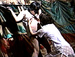 M的願望症候群 DVD EDITION 40 サンプル画像1
