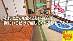 ねこ飼いました【POV】 末広純