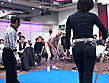 ミスターポーゴのキャットファイト 暗黒街計画 子孫繁栄 サンプル画像17