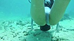 変態マリンスポーツ ネイキッドスキューバー 水野朝陽 サンプル画像7