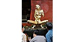 金粉銀粉銅粉BEST 12人【逸材集結！】 - Image 15