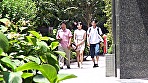 マジックミラー便 特別出張企画！「再婚してできた元高校教師の巨尻のお義母さんに筆おろししてもらいたい！」義母に恋をする童貞息子の想いをAV制作会社が完全バックアップ！！お父さん（＝旦那）の目の前で息子が義理の母を寝取って生中出し！ サンプル画像1