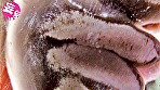 ヴァーチャルべろチュウ Lesbian Kiss - Image 1