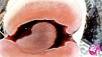 ヴァーチャルべろチュウ Lesbian Kiss - Image 8