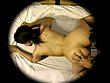 女のマスネタ大全集 いい女の我慢できない夜