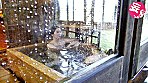 愛妻寝取られ計画02 運動用具メーカー勤務I氏からの妻・奈々さん（三十歳）寝取り依頼 サンプル画像3