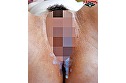 巨乳すぎる先輩と奇跡の中出し3P！小心者で超奥手のボクに千載一遇のチャンス到来！！出張先の旅館の手違いで巨乳過ぎる先輩女子社員2人とまさかの相部屋！！川の字で寝る事に！先輩たちは寝相が悪くて浴衣がどんどん乱れて生パンティ＆生巨乳が丸見え！もうフル勃起全開！ サンプル画像18