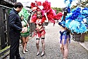 サンプル画像