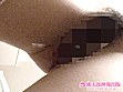 だから！！ トイレの中でハメちゃいました 15組！！ サンプル画像2