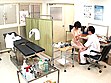 実録 産婦人科 セックスカウンセリング触診治療 サンプル画像11