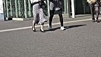 はにかみセレブ人妻！初！浮気SEXで初！他人棒中出し！ 画像1