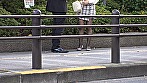 高感度早漏マ〇コのムチムチ巨乳人妻しか勝たん動画！