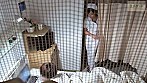 真美（32） サンプル画像1
