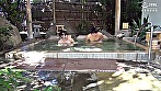 ゲスの極み温泉 貸切湯15組目 サンプル画像4