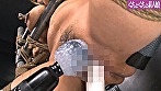 Digest Image 8