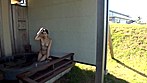 人生紀行 ＃032 ～未来を選択する旅～ 多恵38歳の場合 サンプル画像21