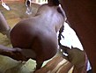 密着生撮り 人妻不倫旅行 ＃058 サンプル画像18