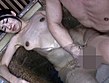 密着生撮り 人妻不倫旅行 ＃073 - Image 18