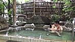 盗撮 -混浴温泉- カメラを仕掛けているとは知らず、男の誘いに乗って体を許してしまう女たち - Image 1