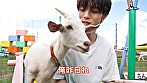 Natural 栗原航大 画像10