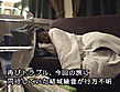 ファイナル・ハードコア  最後の夜 サンプル画像21