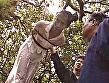 絶叫！牝市場 - Image 2