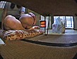 ミニスカ・サイクリング 2
