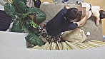 Digest Image 4