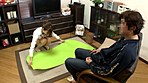クチコミでしか宣伝していない自宅で夫に内緒で回春エステを営む奥様が資格がないのに濃厚サービスが超絶テクだと評判で･･･ サンプル画像1