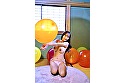 Digest Image 13