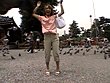 couples 田原あゆみ サンプル画像20