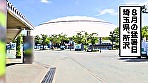 全国人妻えろ図鑑 人妻全国募集⇒出張ハメ撮り⇒ネット公開 りあさん（24歳） 埼玉県所沢市在住 画像1