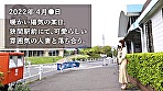 【ミニマルBODYを喰わせる人妻】超美肌のアイドル級幼妻が他人ち●こで激イキ！！ビンカン乳首をおもちゃで開発！？見た目は可愛いのにSEXでは淫乱全開のギャップがイイッ！ at 東京都八王子市 狭間駅前 画像1